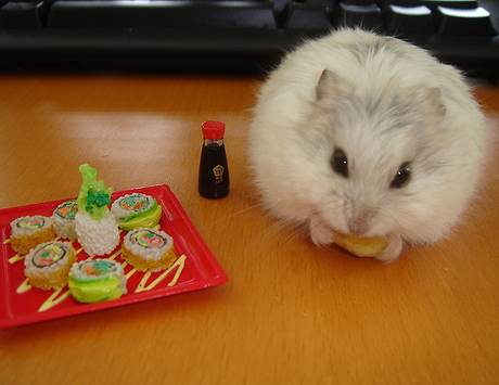 哇，有大餐吃耶