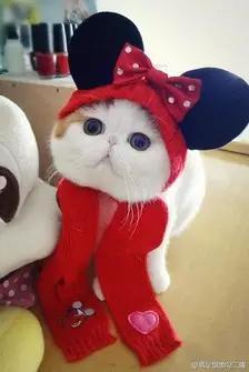 冬天来了，让红小胖教大家一起做保暖吧