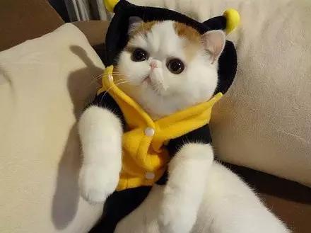 冬天来了，让红小胖教大家一起做保暖吧