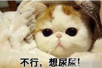 冬天来了，让红小胖教大家一起做保暖吧