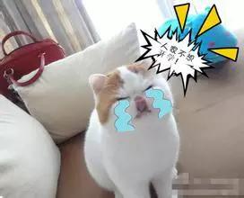 冬天来了，让红小胖教大家一起做保暖吧