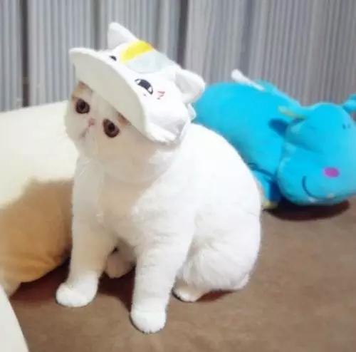 冬天来了，让红小胖教大家一起做保暖吧