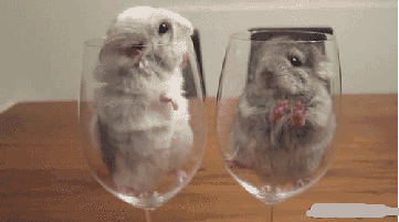 你这是在挑衅我