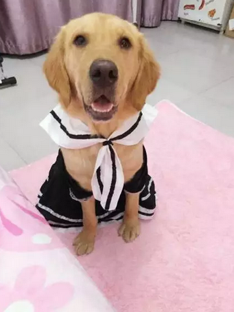 如果没有萌萌哒的脸蛋，别给我提什么是时尚