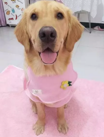 如果没有萌萌哒的脸蛋，别给我提什么是时尚