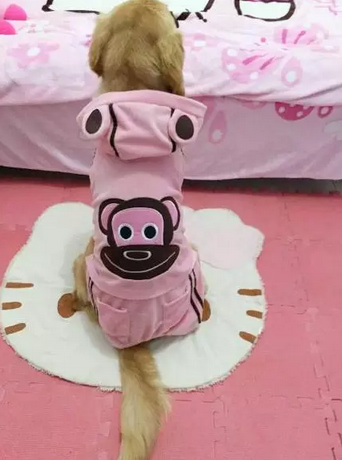 如果没有萌萌哒的脸蛋，别给我提什么是时尚