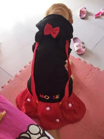 如果没有萌萌哒的脸蛋，别给我提什么是时尚