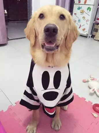 如果没有萌萌哒的脸蛋，别给我提什么是时尚