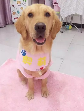 如果没有萌萌哒的脸蛋，别给我提什么是时尚