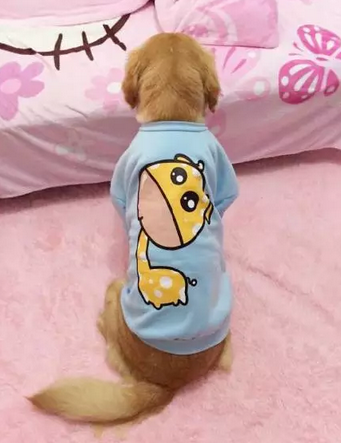 如果没有萌萌哒的脸蛋，别给我提什么是时尚