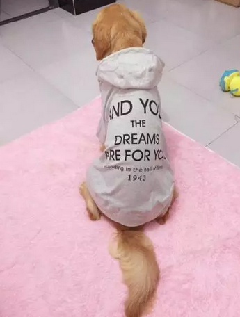 如果没有萌萌哒的脸蛋，别给我提什么是时尚