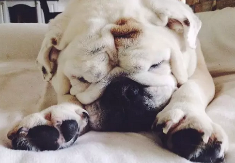 脸都皱成一团了！