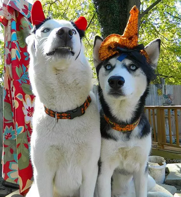 打扮好来个合影！