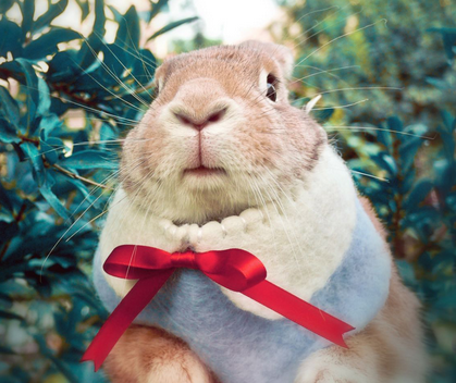 天气冷了要注意保暖哦