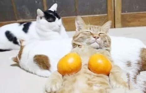 猜猜我的罩杯多少