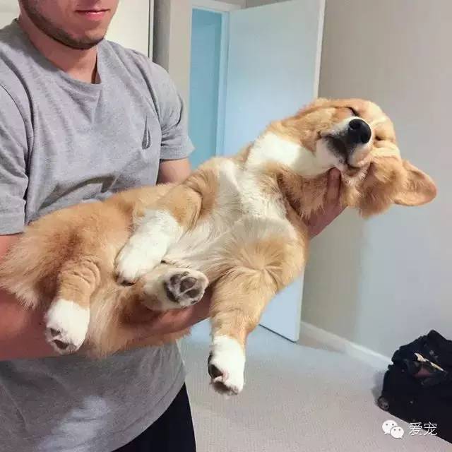 爱笑的小短腿儿，还会眨眼放电！ 