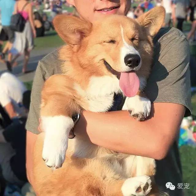 爱笑的小短腿儿，还会眨眼放电！ 