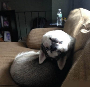 你好！请问叫我啥事儿？