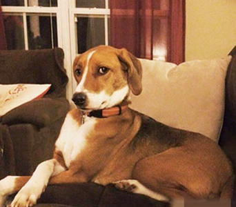 汪娜丽莎的优雅坐姿