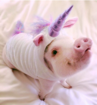 穿上睡衣美美哒