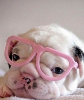 带上眼镜什么的最萌了