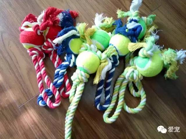 【福利来了！】爱宠首次发粉丝福利，不可错过哟~ 