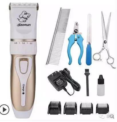 【福利来了！】爱宠首次发粉丝福利，不可错过哟~ 