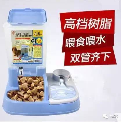 【福利来了！】爱宠首次发粉丝福利，不可错过哟~ 