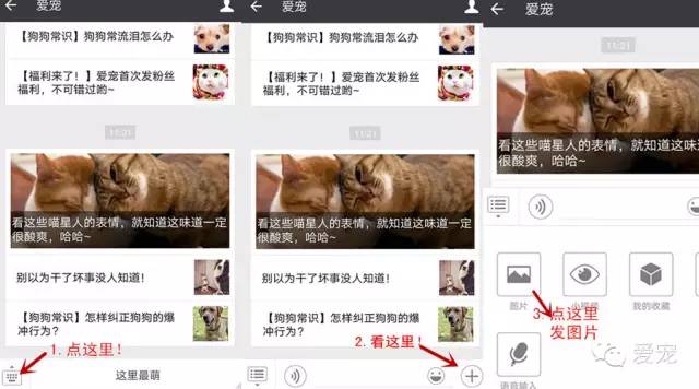 【福利来了！】爱宠首次发粉丝福利，不可错过哟~ 