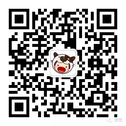 【福利来了！】爱宠首次发粉丝福利，不可错过哟~ 