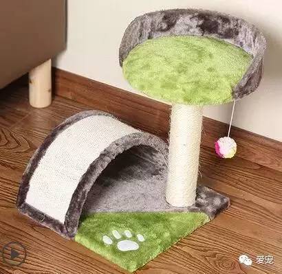 【福利来了！】爱宠首次发粉丝福利，不可错过哟~ 