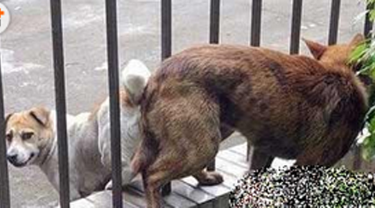 没什么能阻挡你们