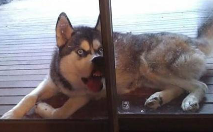 尼玛......真的不想开门了......