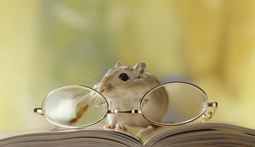 感觉很有学问一样