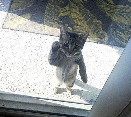 亲爱的，给我开开门呗