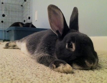 就让我静静的躺会