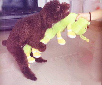 二汪，你别冲动！你真的认错了