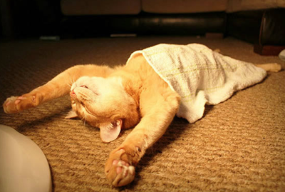 只想美美的睡一觉