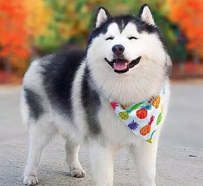 怎么看都觉得不正经！