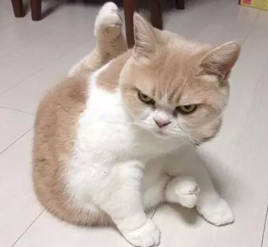 美不美，主要还是得看气质