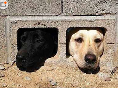 说好一起白头你却悄悄焗了油