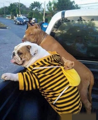 一家三口去旅行