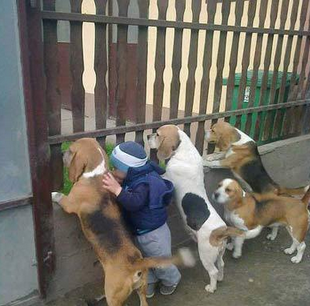 有什么好看的让我也看看