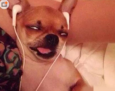 感觉都要死了！