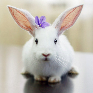 关键还是要看气质