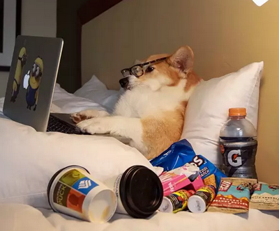 先吃着零食看会儿电影。