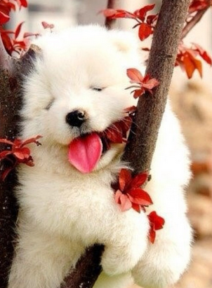 这睡得挺香的吗