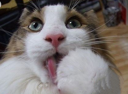 诱惑一下别人也是可以的