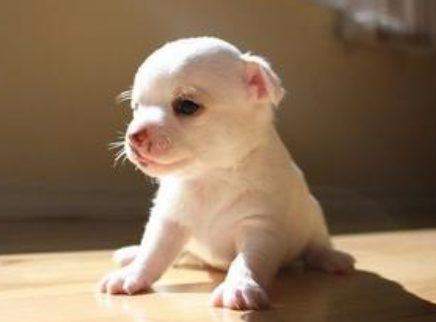 发呆的你也特别可爱