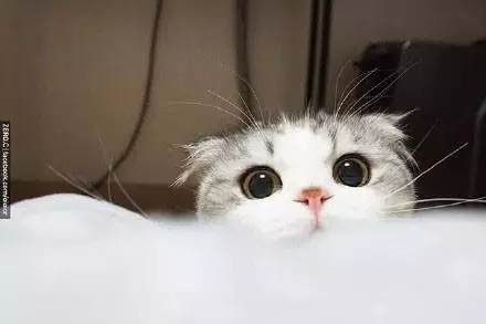 大圆脸真是萌的不要不要的